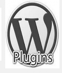 WordPress Plugins